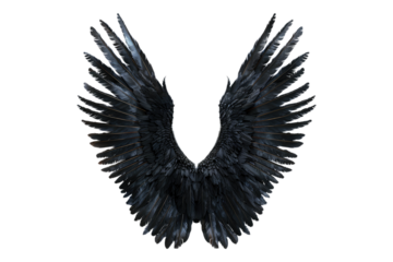 Black wings isolated on transparent background
