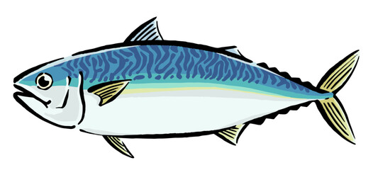 鯖　イラスト