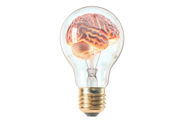 Brain inside a light bulb isolated on transparent background