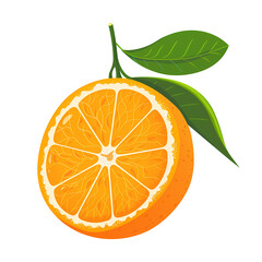 orange  fruit cartoon illustration isolated on transparent background