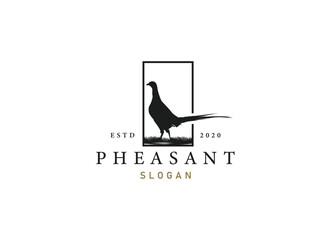 silhouette of pheasant logo design. Beauty pheasant logo