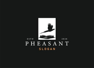 Obraz premium silhouette of pheasant logo design. Beauty pheasant logo