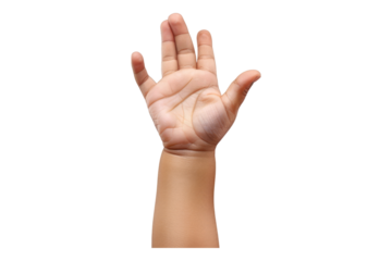Child hands isolated on transparent background