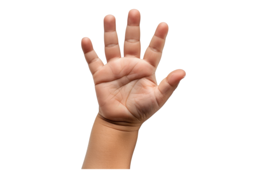 Child hands isolated on transparent background