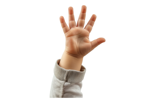 Child hands isolated on transparent background - Powered by Adobe