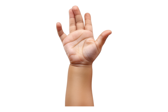 Child hands isolated on transparent background
