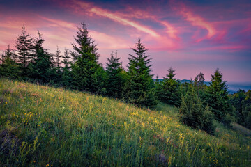 Astonishing summer sunset on mountain pasture with red clouds in the sky, Ukraine, Europe. Dramatic evening scene of Carpathian miuntains. Beauty of nature concept background.