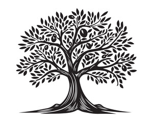 hand drawn Black and White Vector Illustration of Leafy Tree in Vintage Engraving Style