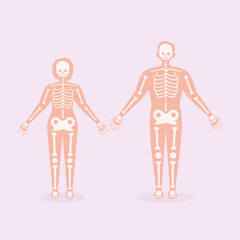 Skeletal Human Organ System Flat Illustration
