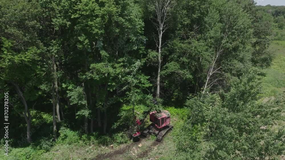 Poster drone footage of wild trees getting cut through an automated machine in a forest.
