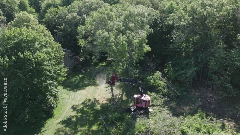 Poster rotating view of lumberjack carrying cut trees and stacking them during afternoon. drone shot.