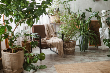 A fragment of the interior with a variety of indoor plants and plaster sculptures. Urban jungle concept. Biophilia design.