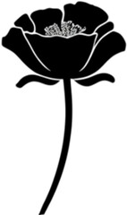 Elegant black poppy stencil for artistic projects. 