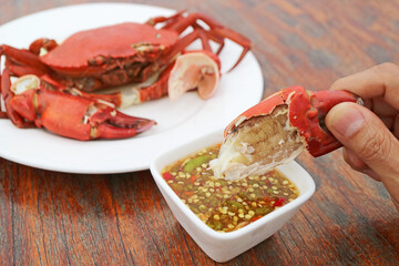 Hand Dipping a Steamed Sea Crab Claw in Flavorful Thai Spicy Seafood Sauce