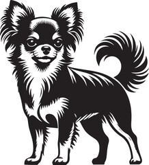 chihuahua dog vector