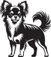 chihuahua dog vector