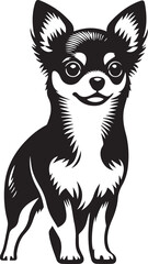 chihuahua dog vector