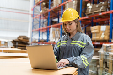 Warehouse worker working with laptop computer in warehouse