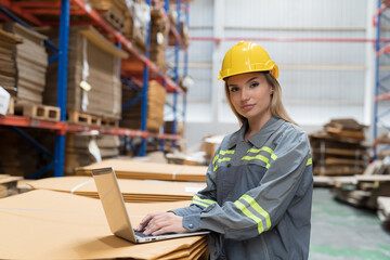 Warehouse worker working with laptop computer in warehouse