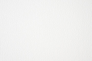 白い縦シワの和紙背景