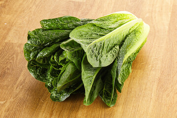 Green fresh juicy Romano salad