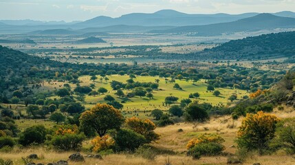 Obraz premium Scenic autumn view of green landscape in the savanna