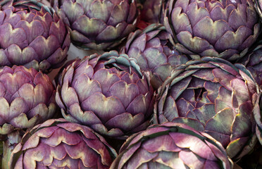 Fototapeta premium background of purple artichokes