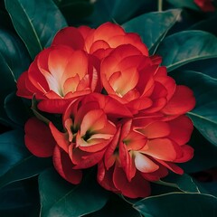 Naklejka premium Red flowers over green leaves background