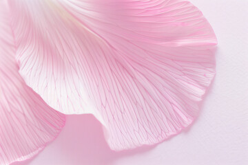 close-up of a delicate white with soft pink petal with intricate vein patterns on a soft, light background