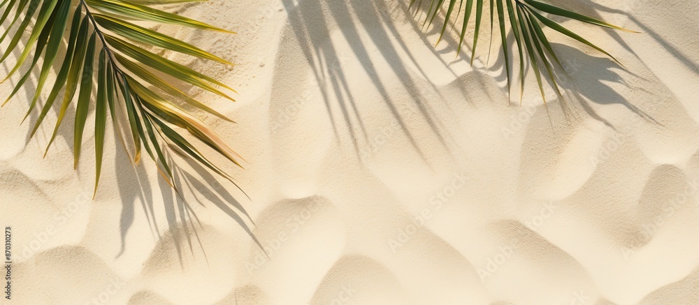 Aufkleber top view of a natural shadow from tropical coconut palm leaves on beach sand creating a summer vacat