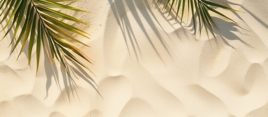 Top view of a natural shadow from tropical coconut palm leaves on beach sand creating a summer vacation concept with a mockup for a product or travel background including copy space image.