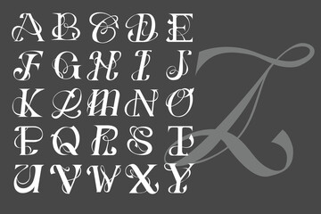 Abstract Type Elegance Font Illustration
