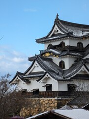 彦根城の天守閣