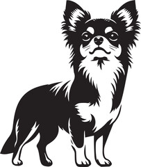 chihuahua dog vector