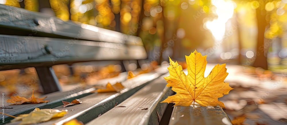 Poster sunny autumn day with a shiny brown chestnut tree on a yellow maple leaf placed on a bench, creating