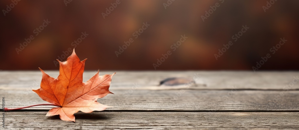 Poster A single autumn leaf is placed on a table with copy space image.