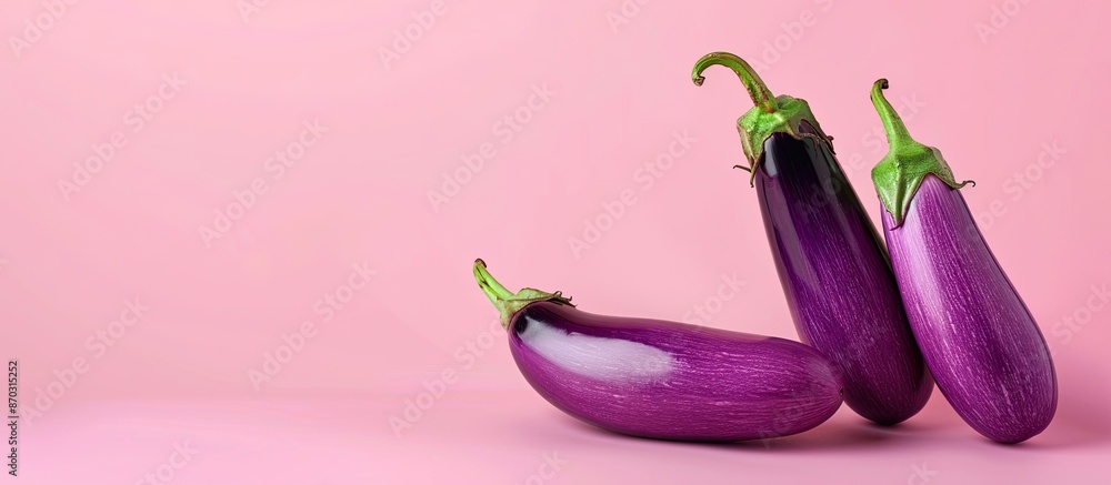 Leinwandbilder a fresh violet brinjal vegitable isolated put on pastel background. with copy space image. Place for adding text or design