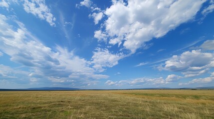 The vastness of the sky stretching over an open field, unbounded and free, inspires a feeling of boundless potential and serenity.