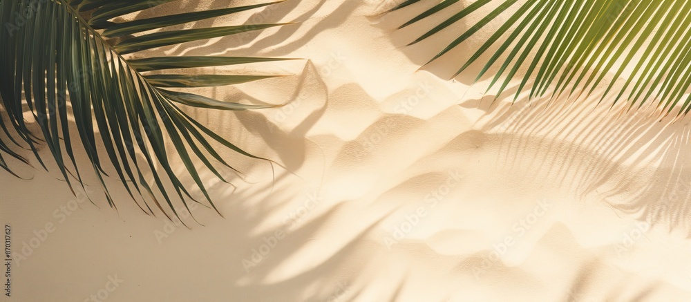 Aufkleber top view of a natural shadow from tropical coconut palm leaves on beach sand creating a summer vacat