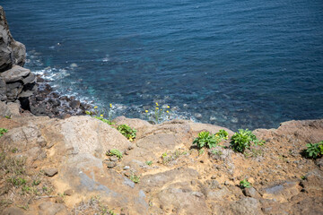 대한민국의 남쪽 끝에 있는 섬인 마라도의 아름다운 풍경이다.