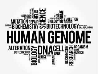 Fototapeta premium Human Genome is a complete set of nucleic acid sequences for humans, word cloud concept background