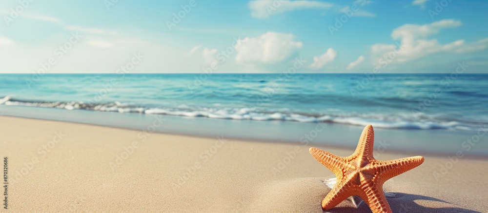 Poster starfish resting on the sandy beach with plenty of copy space image.