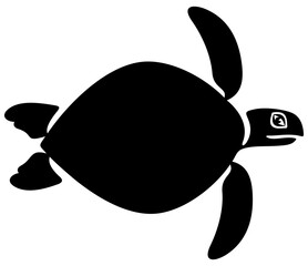 Sea turtle and sea animal. Ecosystem, environmental protection and world ocean, illustration