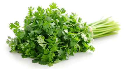 A close-up of a bunch of fresh green coriander leaves isolated on a white background