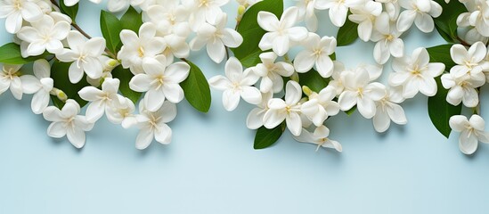 Top view of delicate white Jasmine flowers arranged in a pattern with space for text in a flat lay composition, creating a serene copy space image.