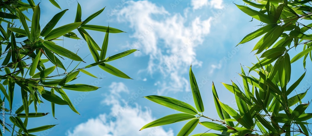 Poster a captivating backdrop with fresh green bamboo leaves against the sky in a close-up copy space image