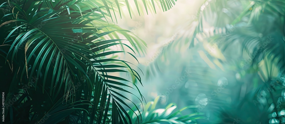 Poster tropical palm foliage, greenery background, summer concept pastel background. with copy space image.