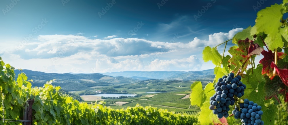 Poster luxurious vineyards with a captivating background, selective focus, and ample copy space image for t