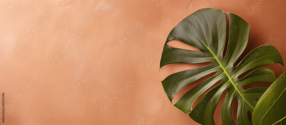 Aufkleber monstera leaf viewed from above on a brown matte marble surface, ideal as background or wallpaper wi