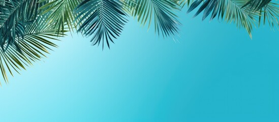Top view banner for a travel agency featuring tropical palm tree leaves on a blue background, providing a copy space image.